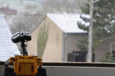 En attendant le retour de sa bien aimée_4355304945_l.jpg